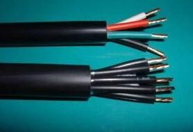 尊龙人生就是博·Z6「中国区」首页官网