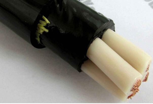 尊龙人生就是博·Z6「中国区」首页官网