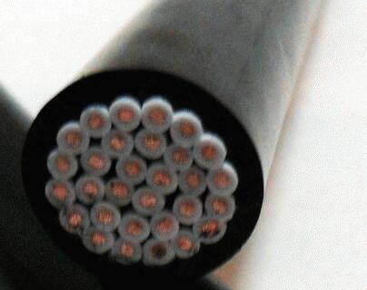 尊龙人生就是博·Z6「中国区」首页官网