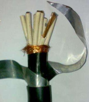 尊龙人生就是博·Z6「中国区」首页官网