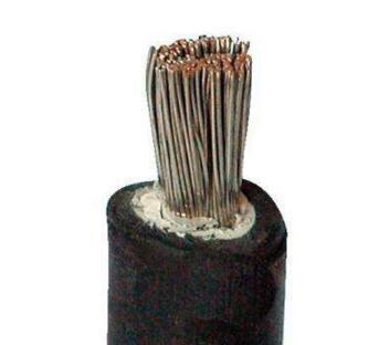 尊龙人生就是博·Z6「中国区」首页官网