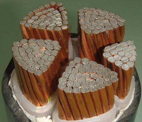 �����������ǲ���Z6���й�������ҳ����