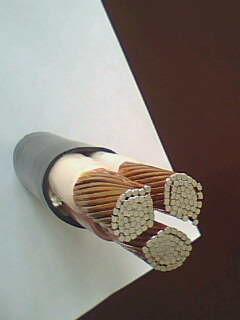 �����������ǲ���Z6���й�������ҳ����