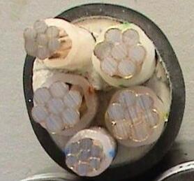 尊龙人生就是博·Z6「中国区」首页官网