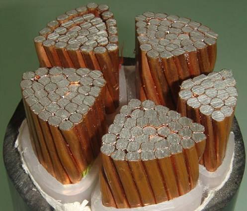 尊龙人生就是博·Z6「中国区」首页官网