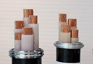 尊龙人生就是博·Z6「中国区」首页官网