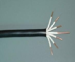 尊龙人生就是博·Z6「中国区」首页官网