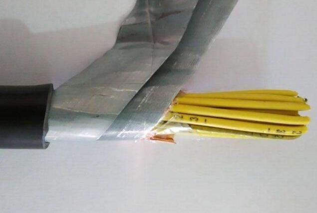 尊龙人生就是博·Z6「中国区」首页官网