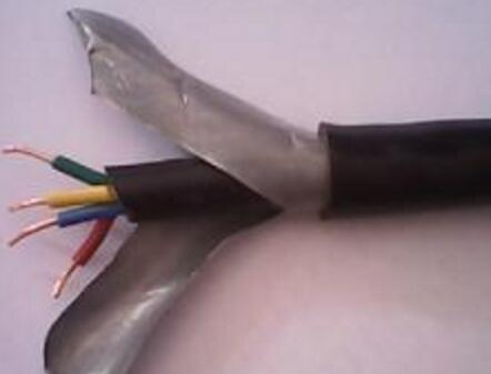 尊龙人生就是博·Z6「中国区」首页官网