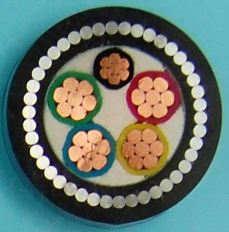 尊龙人生就是博·Z6「中国区」首页官网