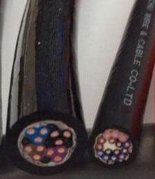 尊龙人生就是博·Z6「中国区」首页官网