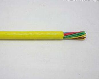 尊龙人生就是博·Z6「中国区」首页官网