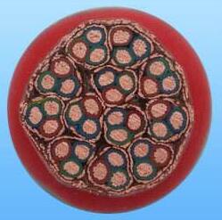 尊龙人生就是博·Z6「中国区」首页官网