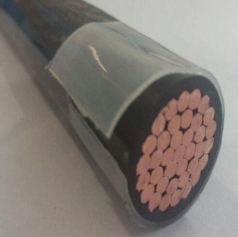 尊龙人生就是博·Z6「中国区」首页官网