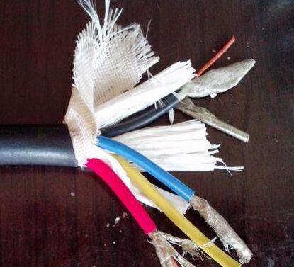 尊龙人生就是博·Z6「中国区」首页官网