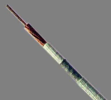 尊龙人生就是博·Z6「中国区」首页官网