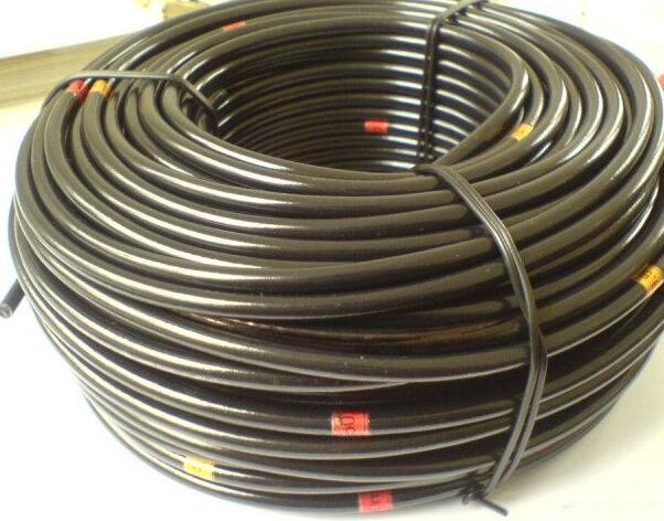 尊龙人生就是博·Z6「中国区」首页官网