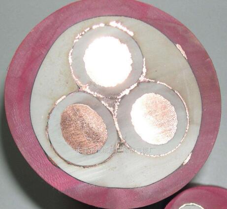 尊龙人生就是博·Z6「中国区」首页官网