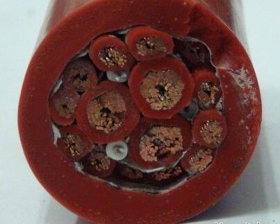 尊龙人生就是博·Z6「中国区」首页官网