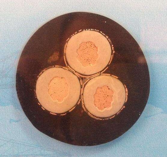 尊龙人生就是博·Z6「中国区」首页官网