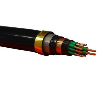 尊龙人生就是博·Z6「中国区」首页官网