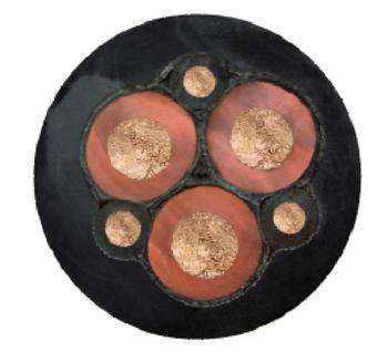 尊龙人生就是博·Z6「中国区」首页官网