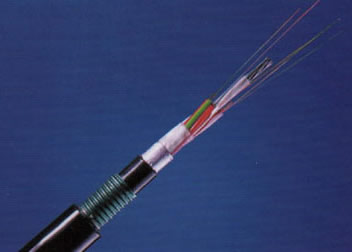 尊龙人生就是博·Z6「中国区」首页官网