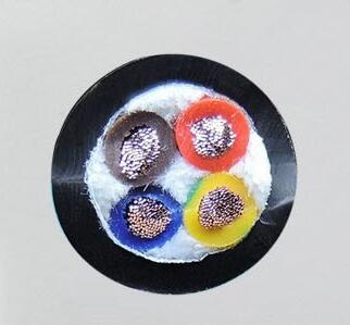 尊龙人生就是博·Z6「中国区」首页官网