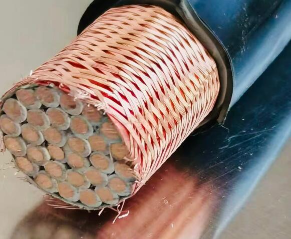 尊龙人生就是博·Z6「中国区」首页官网