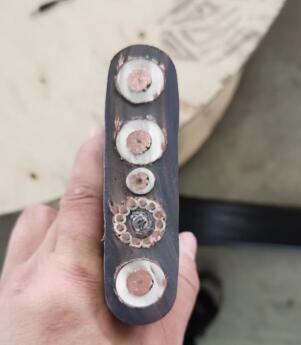 尊龙人生就是博·Z6「中国区」首页官网