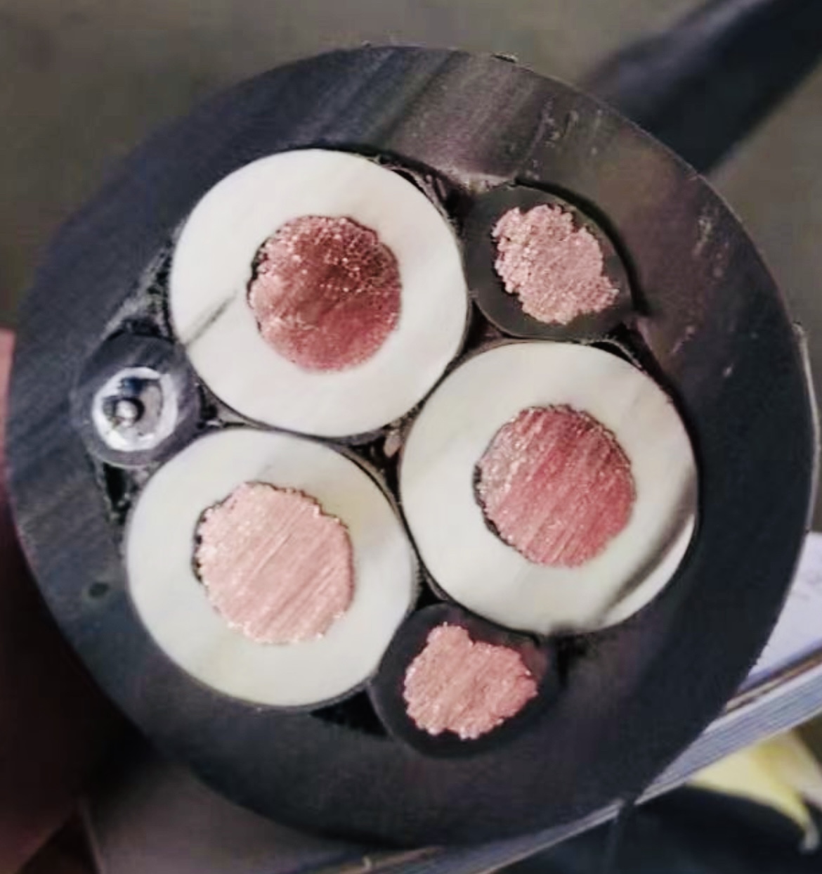 尊龙人生就是博·Z6「中国区」首页官网