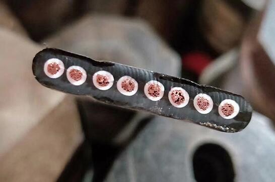 尊龙人生就是博·Z6「中国区」首页官网