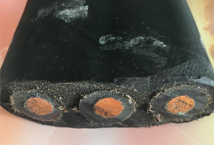 尊龙人生就是博·Z6「中国区」首页官网