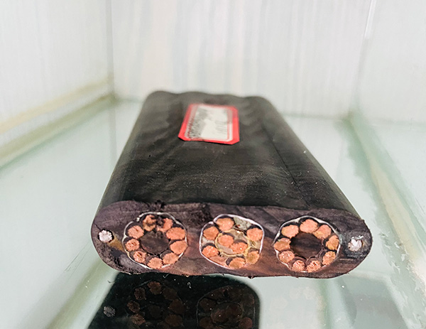 尊龙人生就是博·Z6「中国区」首页官网