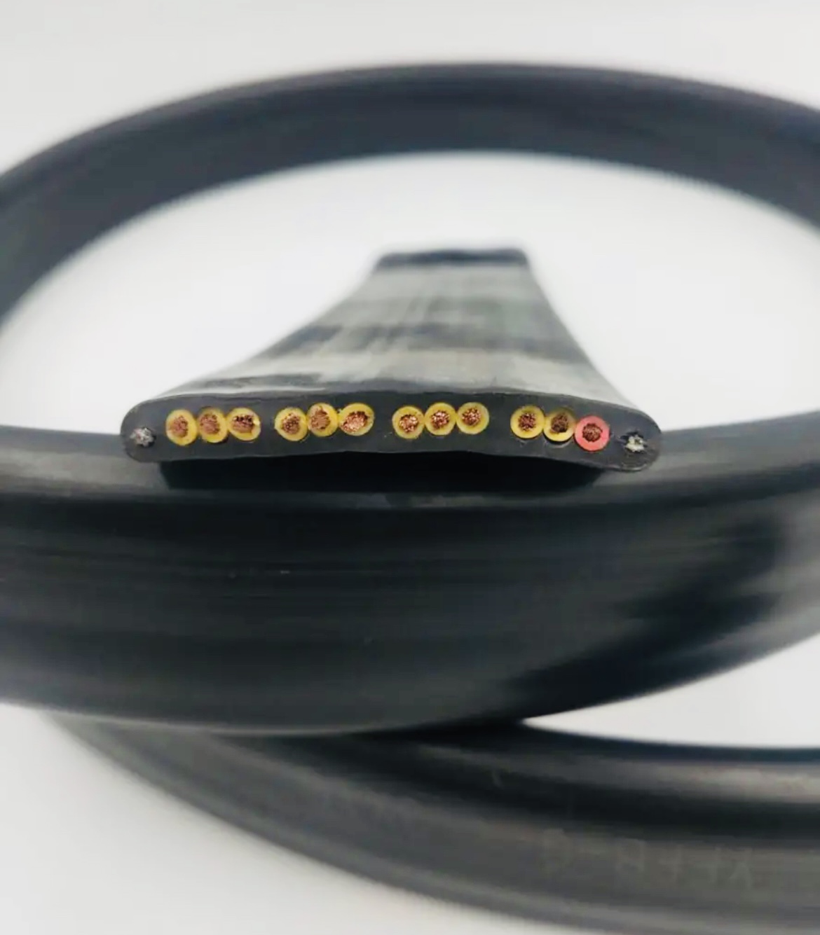 尊龙人生就是博·Z6「中国区」首页官网