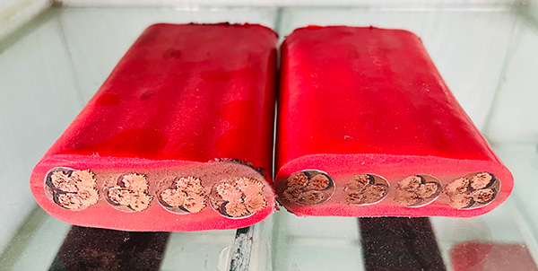 尊龙人生就是博·Z6「中国区」首页官网