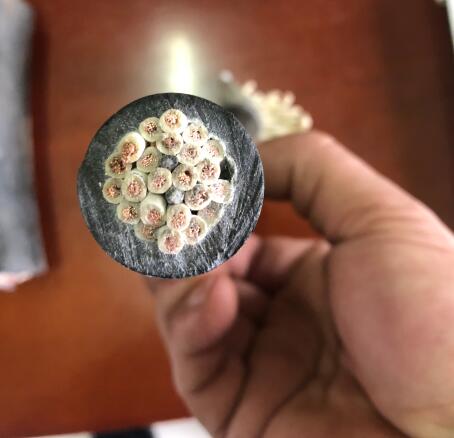 尊龙人生就是博·Z6「中国区」首页官网