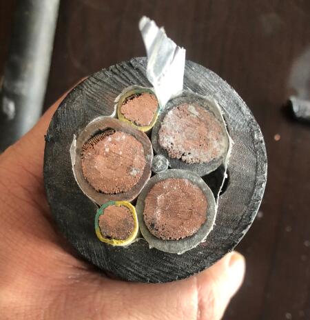 尊龙人生就是博·Z6「中国区」首页官网