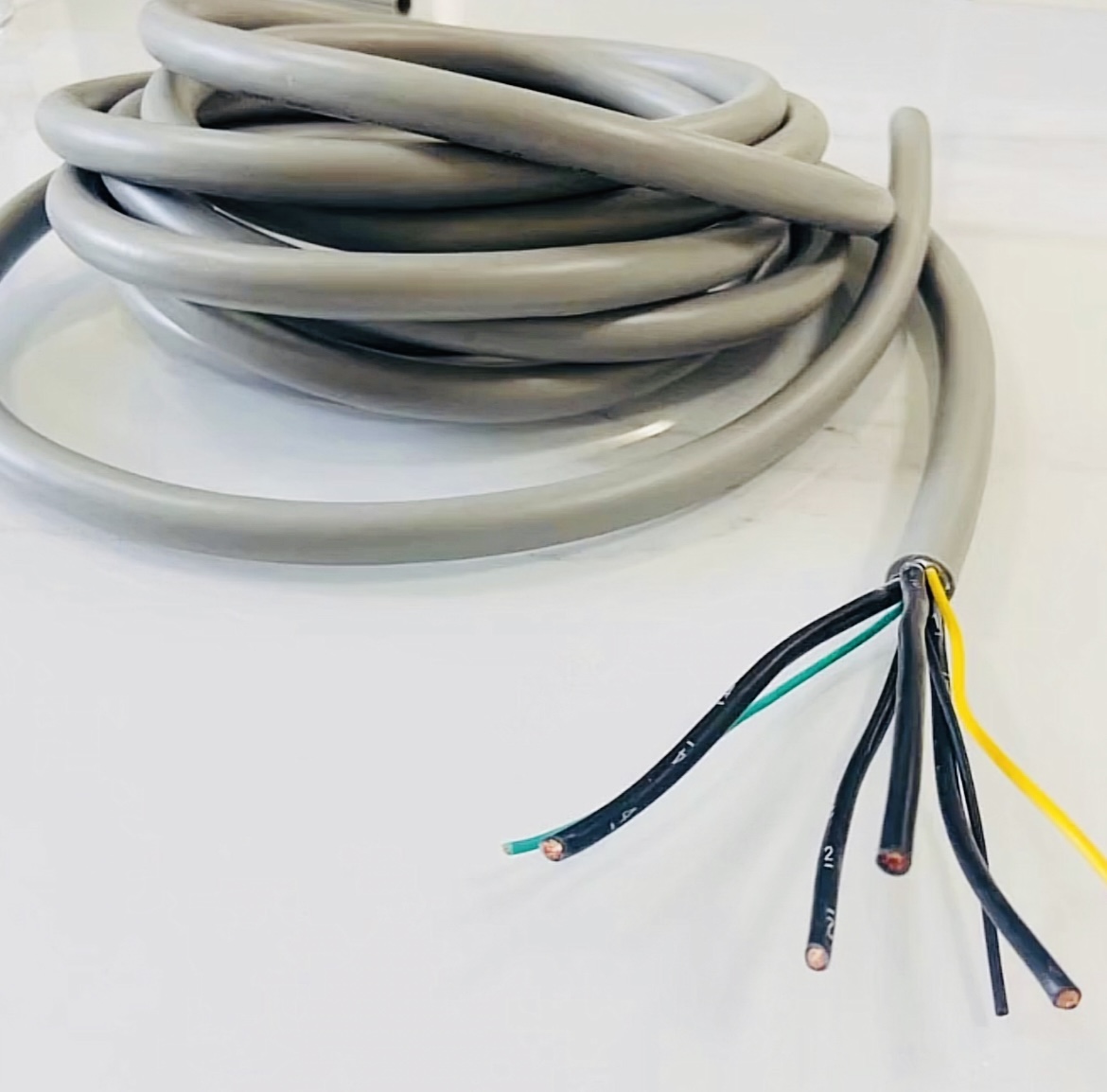 尊龙人生就是博·Z6「中国区」首页官网