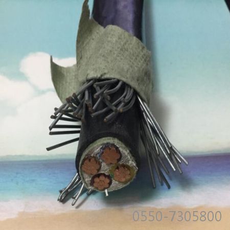 尊龙人生就是博·Z6「中国区」首页官网