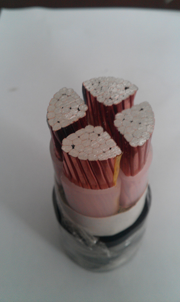 尊龙人生就是博·Z6「中国区」首页官网