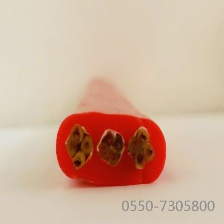 尊龙人生就是博·Z6「中国区」首页官网