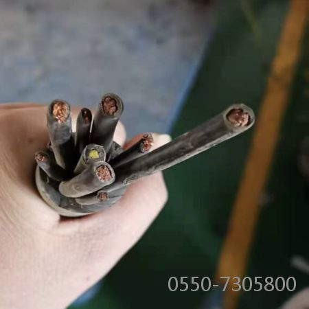 尊龙人生就是博·Z6「中国区」首页官网