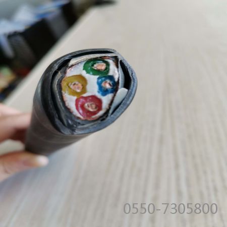 尊龙人生就是博·Z6「中国区」首页官网