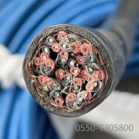 尊龙人生就是博·Z6「中国区」首页官网