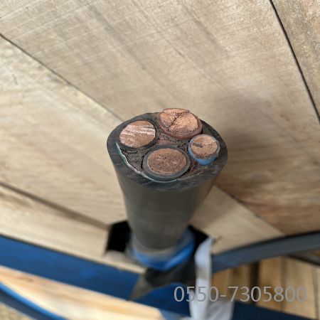 尊龙人生就是博·Z6「中国区」首页官网