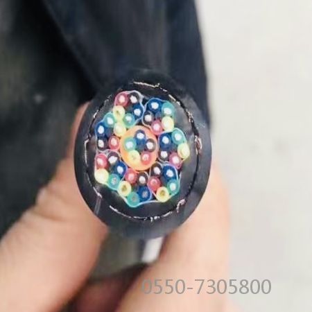 尊龙人生就是博·Z6「中国区」首页官网