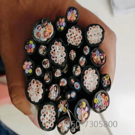 尊龙人生就是博·Z6「中国区」首页官网