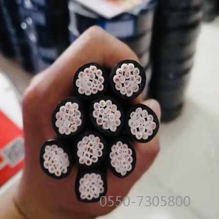 尊龙人生就是博·Z6「中国区」首页官网