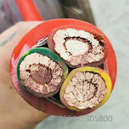 尊龙人生就是博·Z6「中国区」首页官网